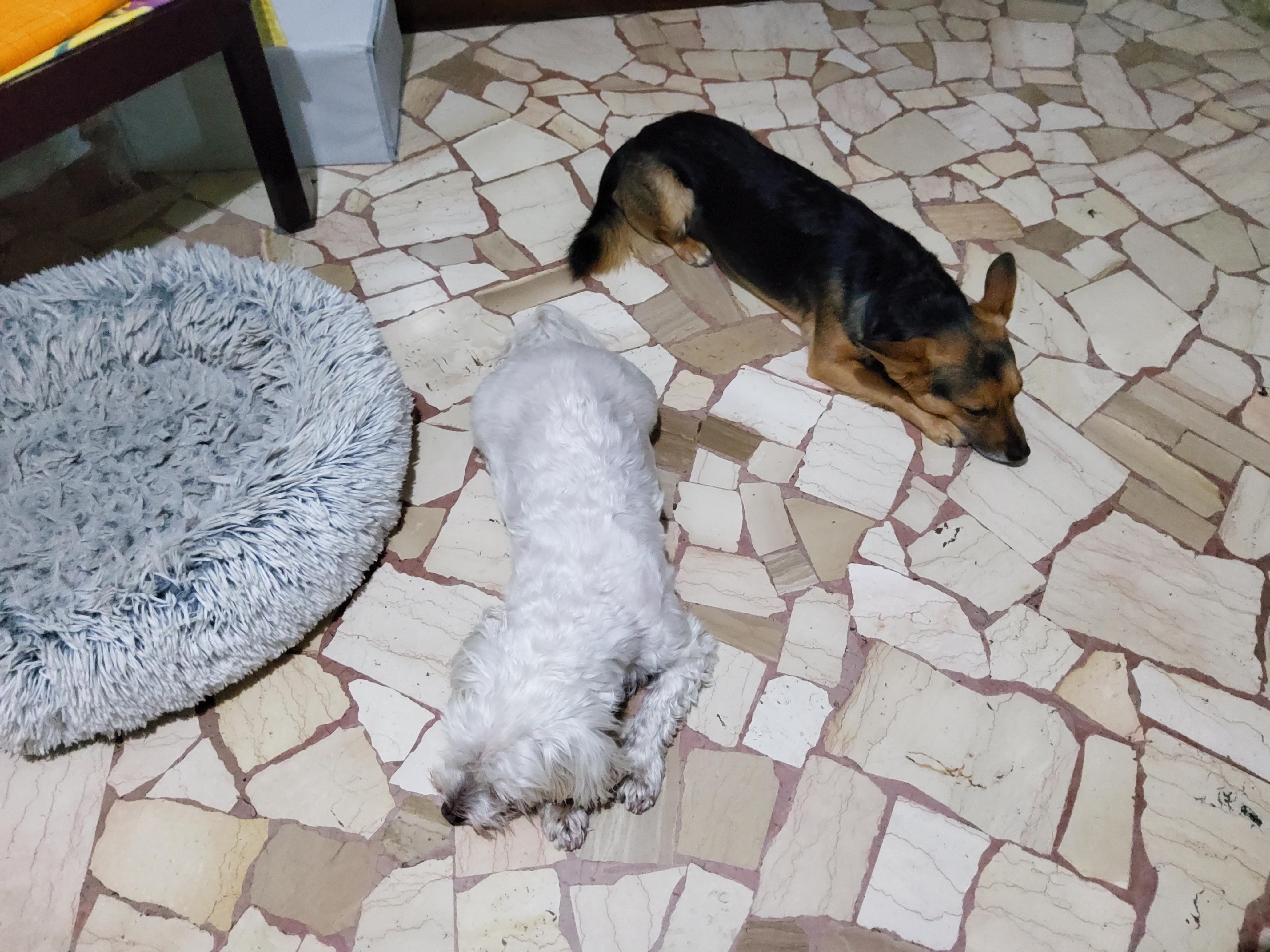 image-8
