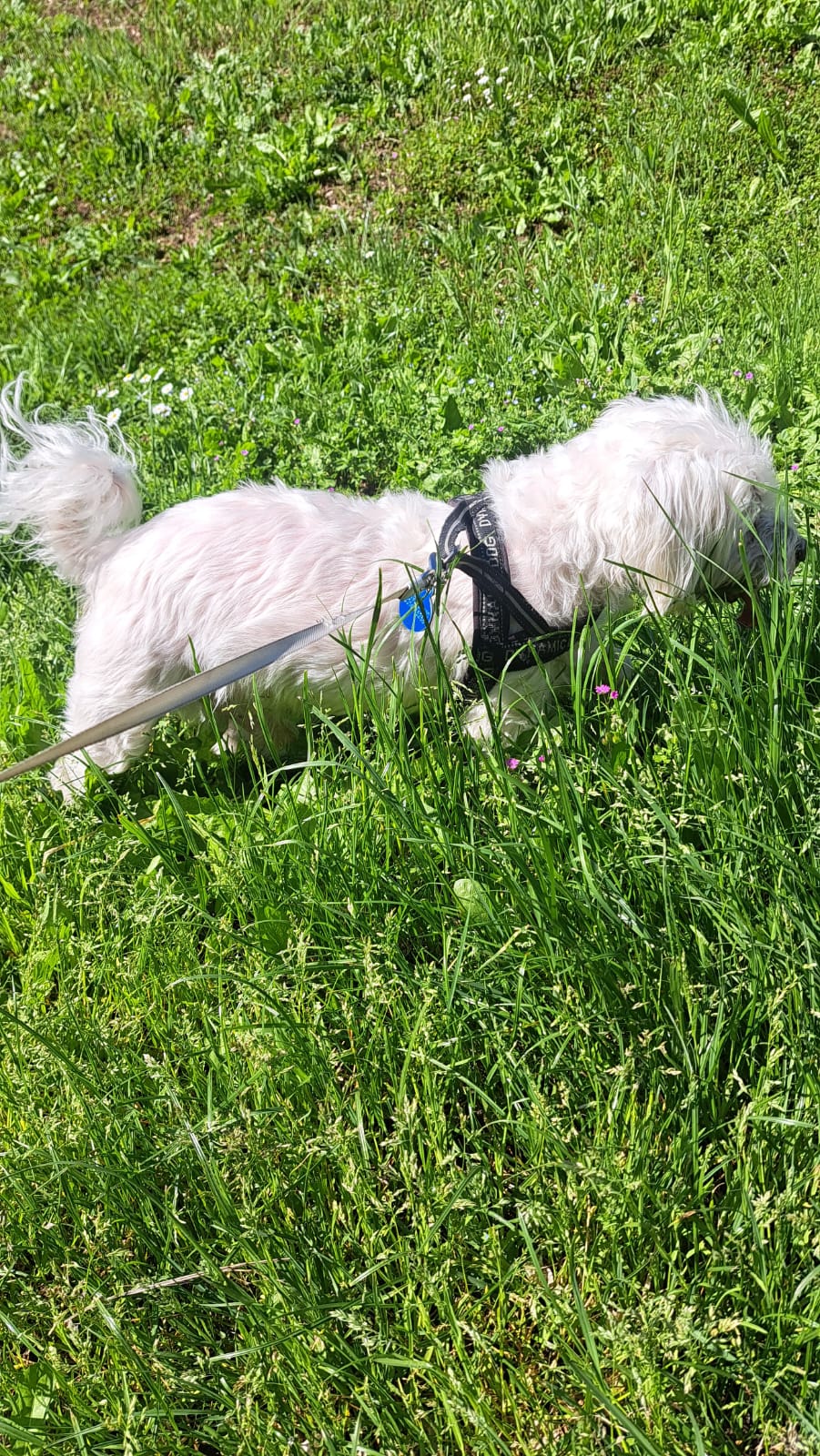 image-9