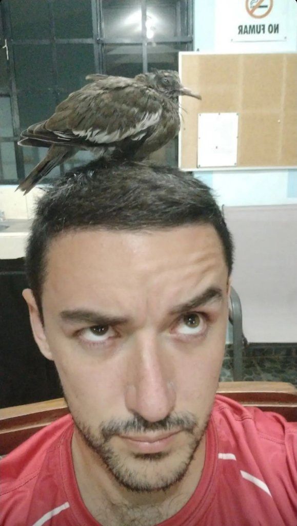 image-8