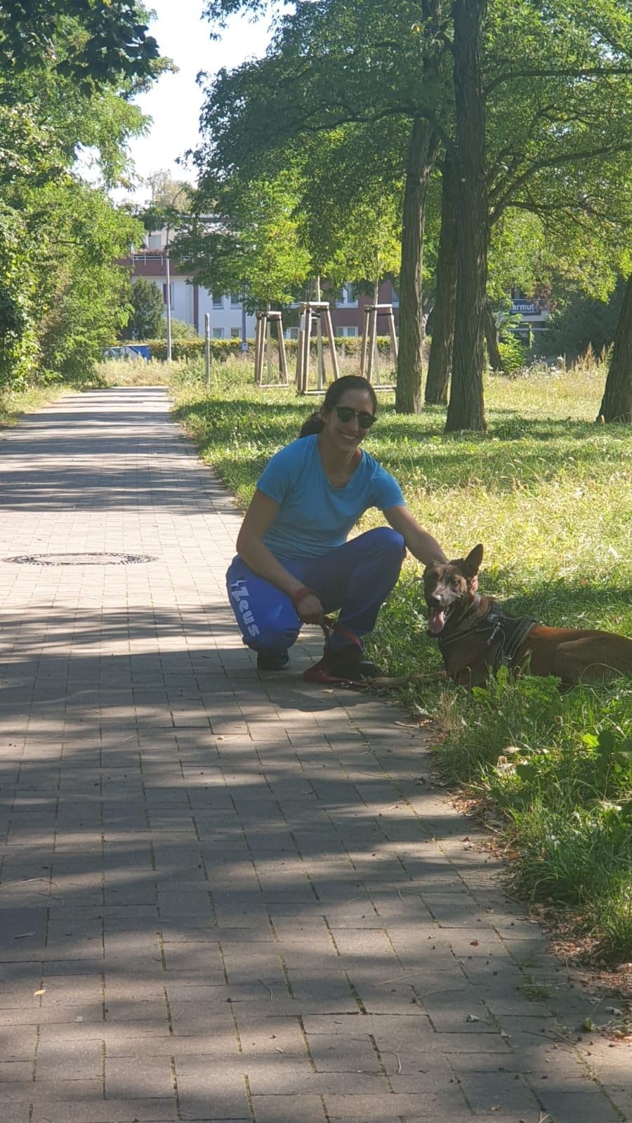 image-3