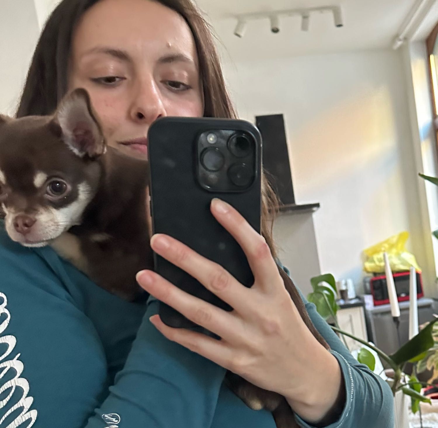 image-7