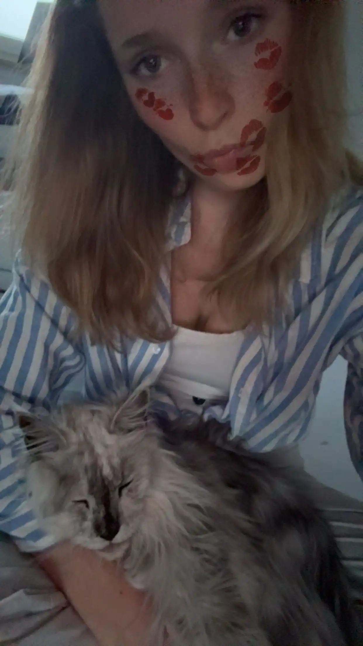 image-7