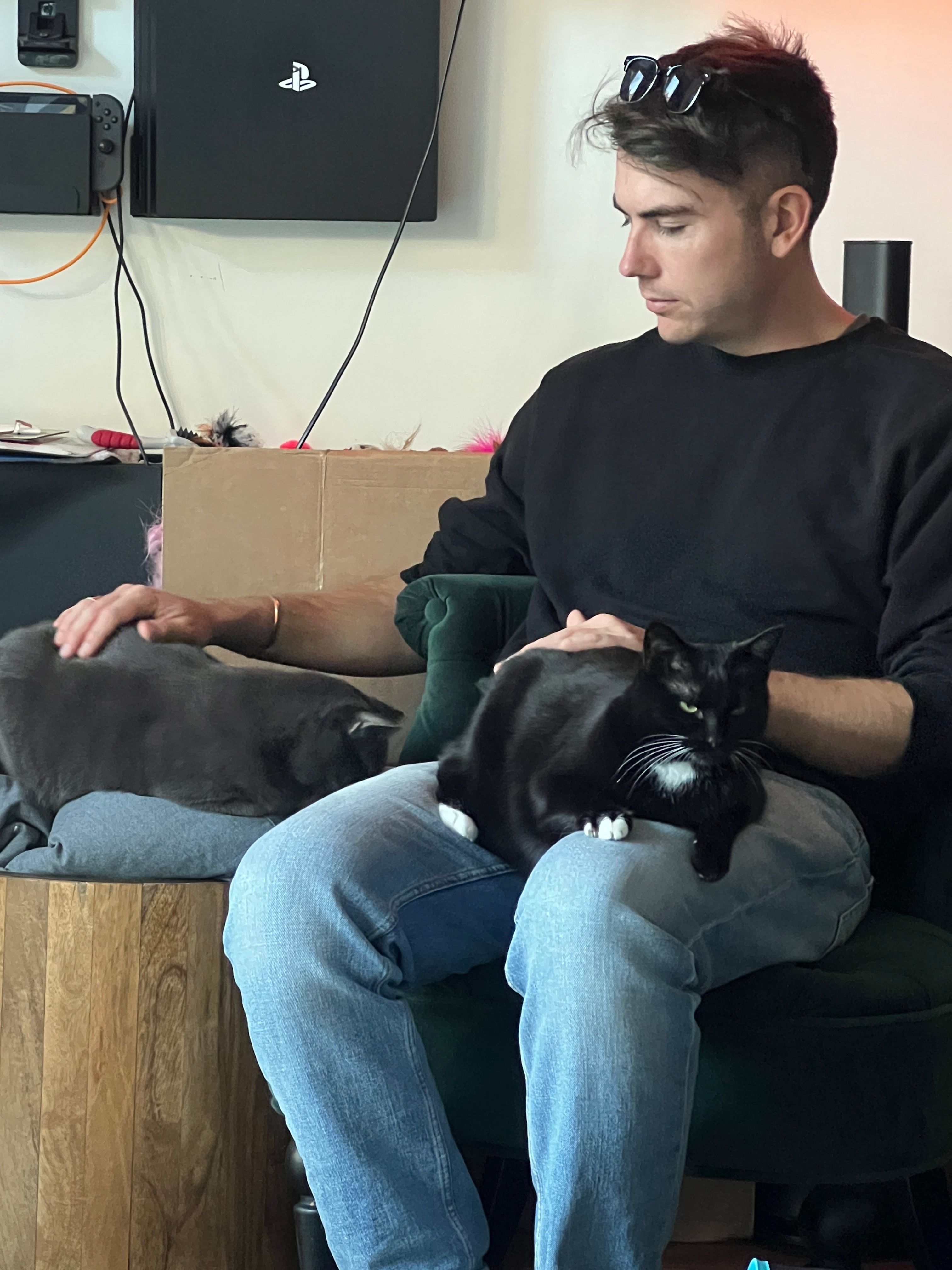 image-6