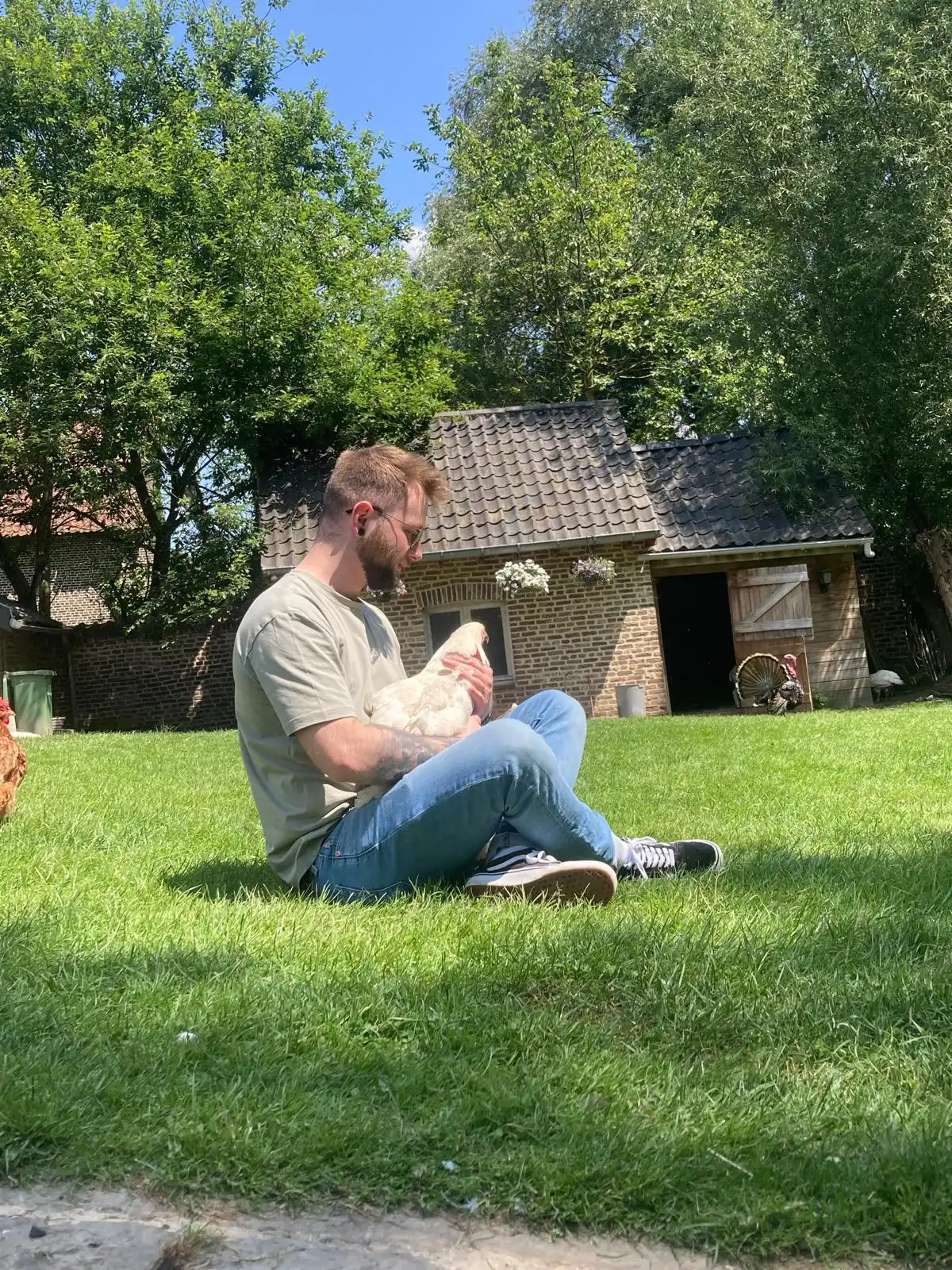 image-7