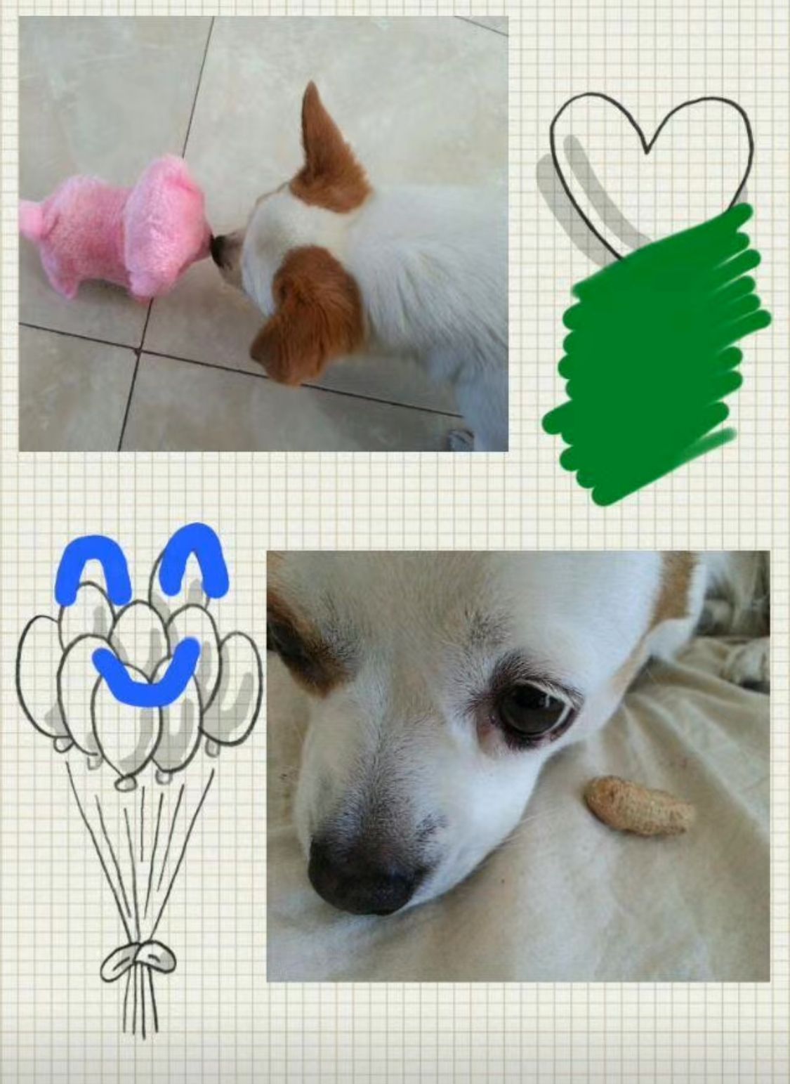 image-7