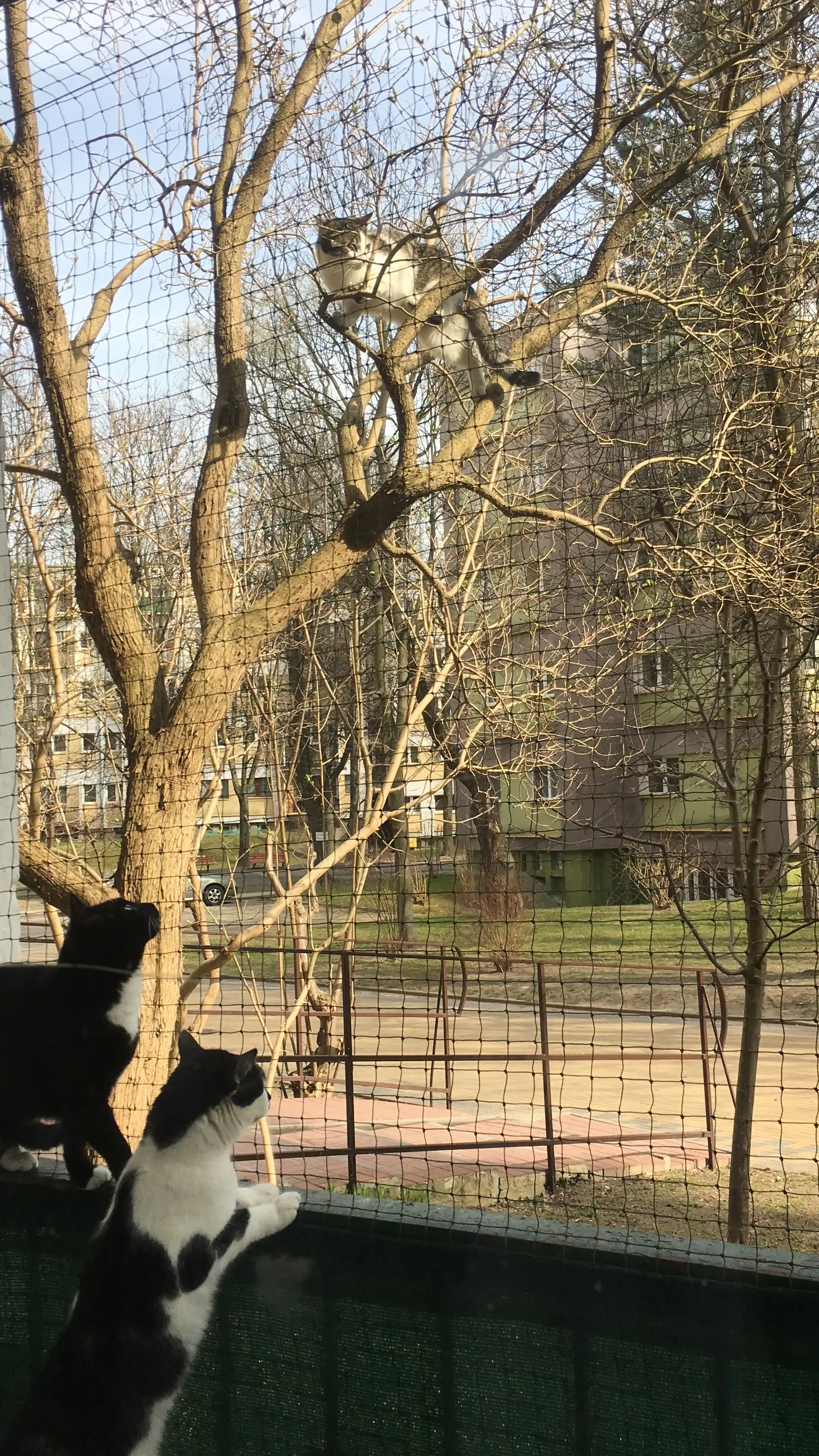 image-15