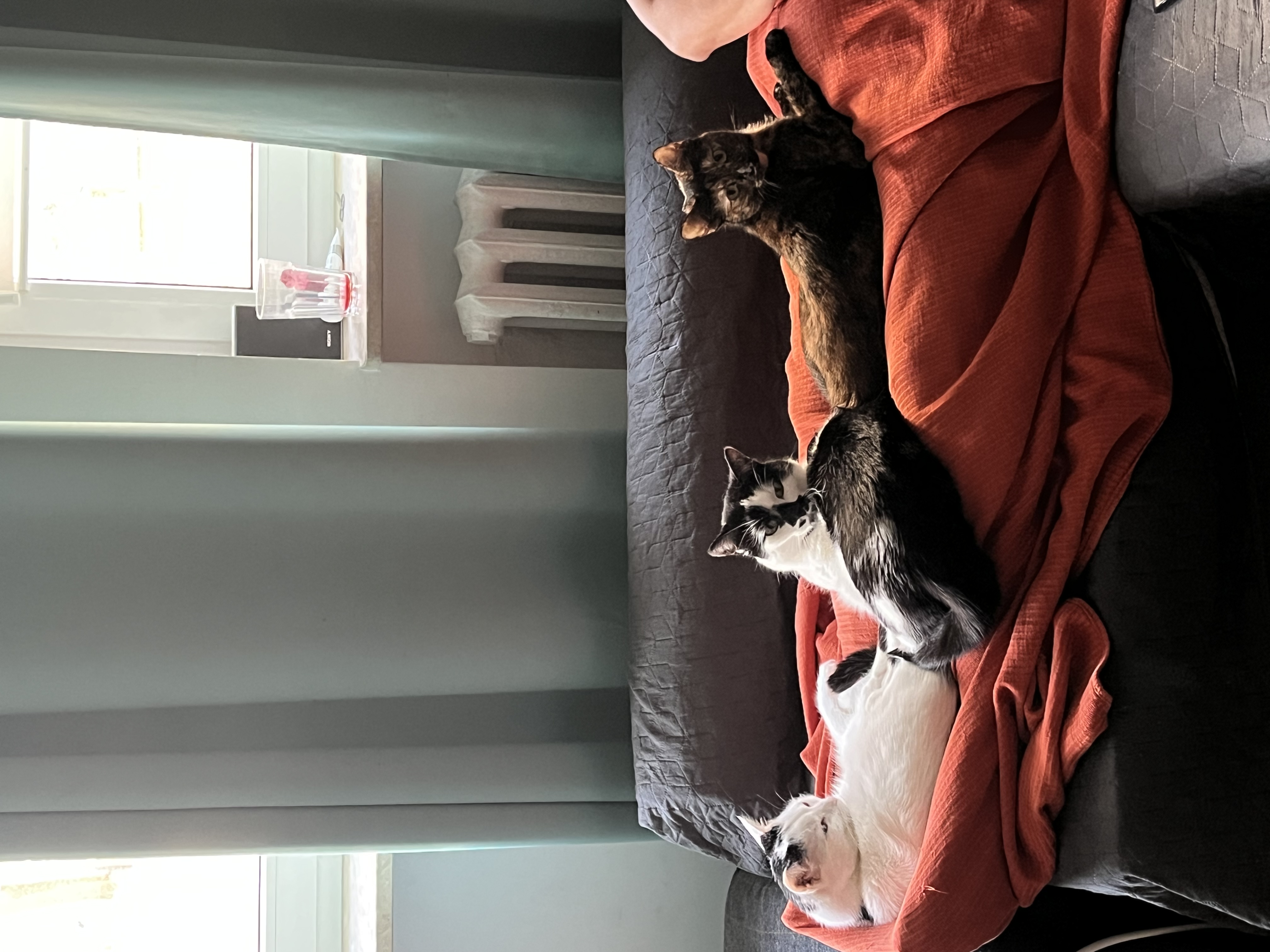 image-13