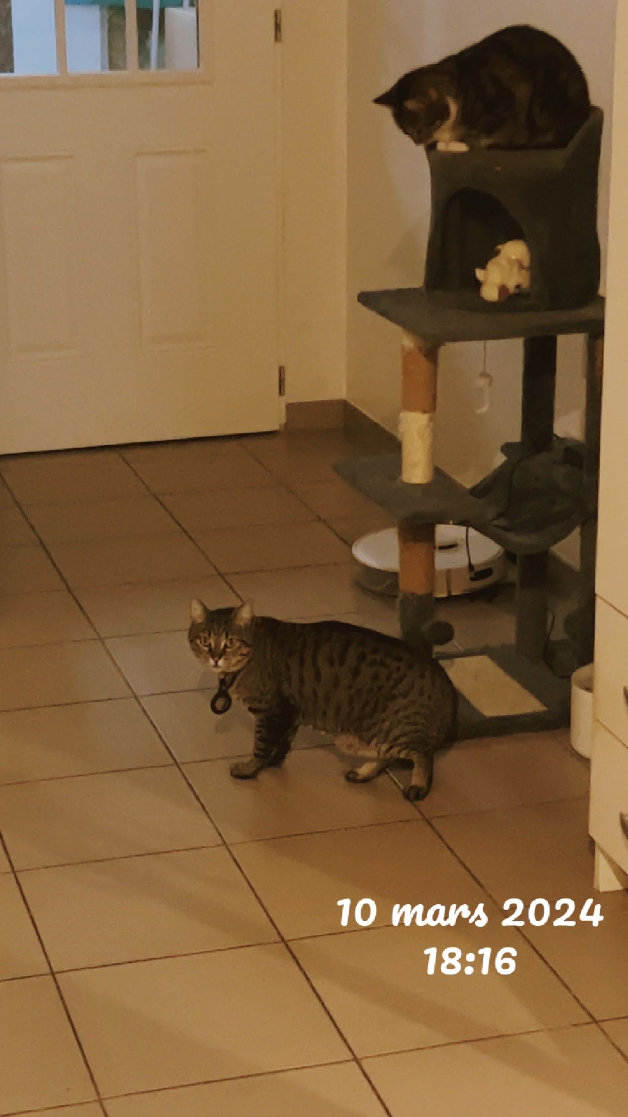 image-15