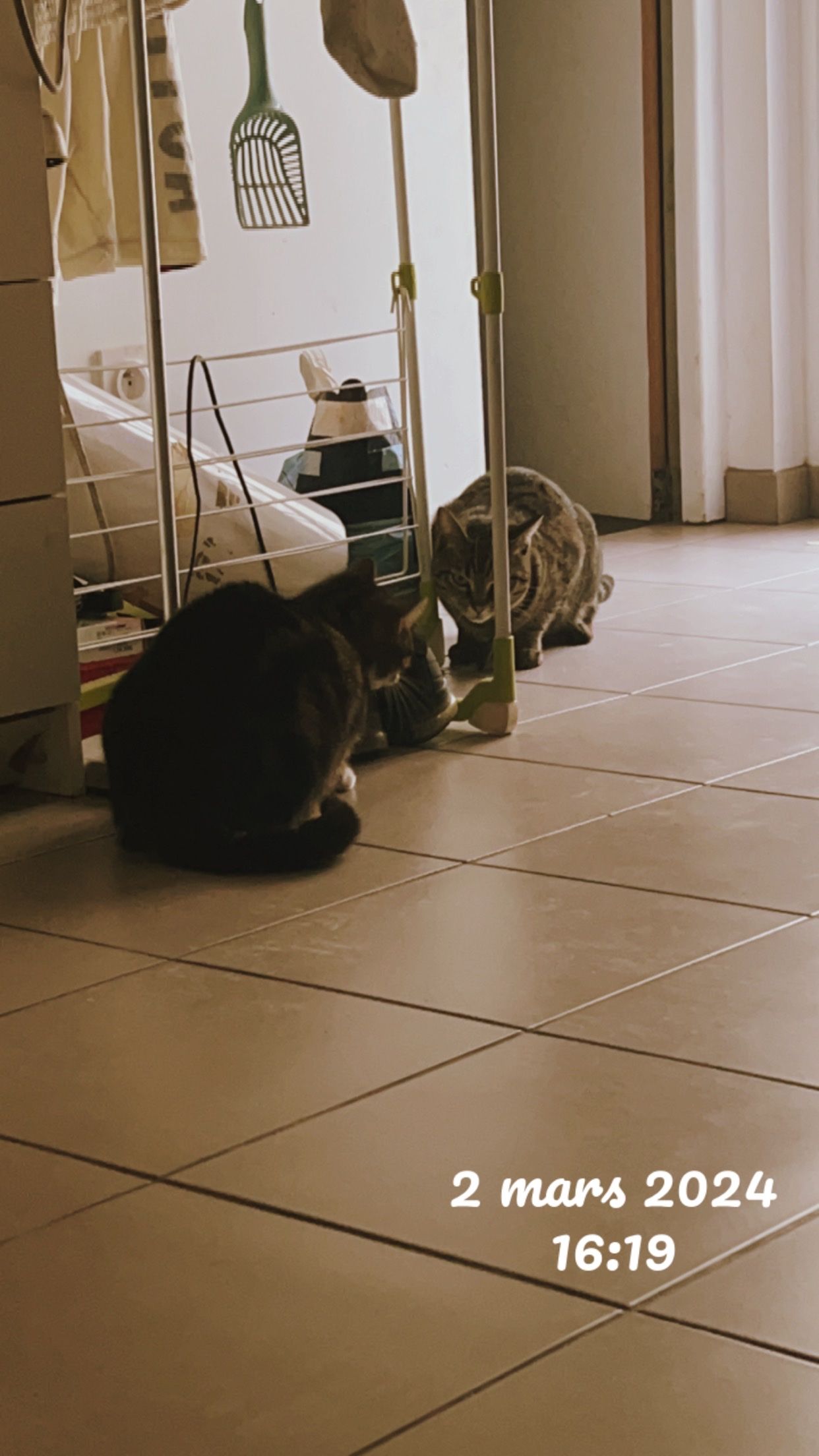 image-16