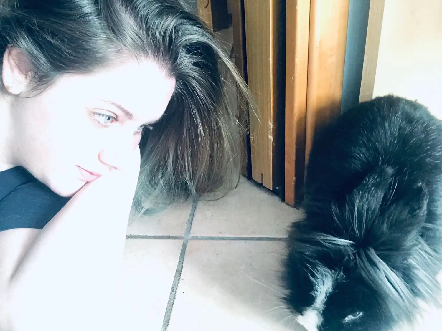 image-6