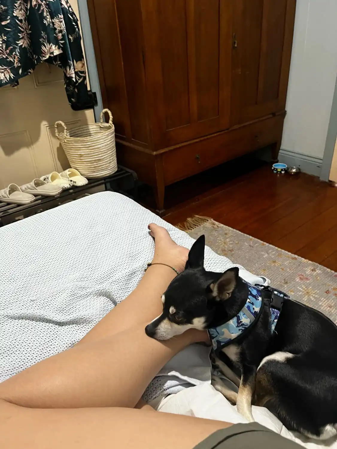 image-10