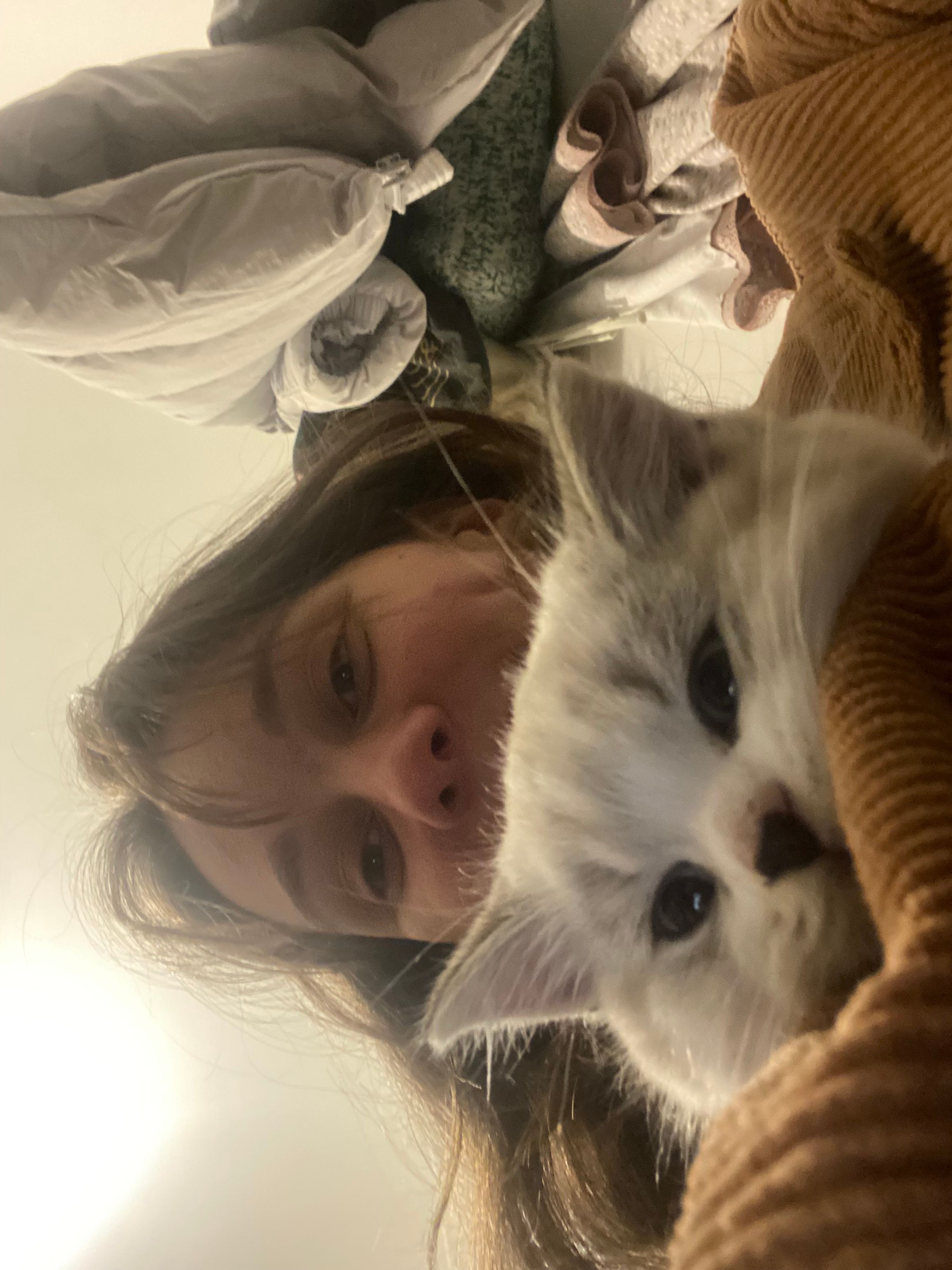 image-8