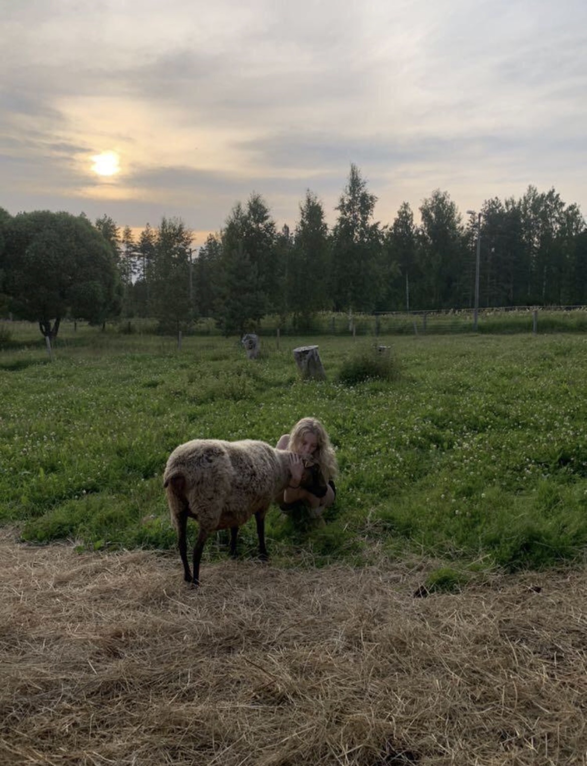 image-6