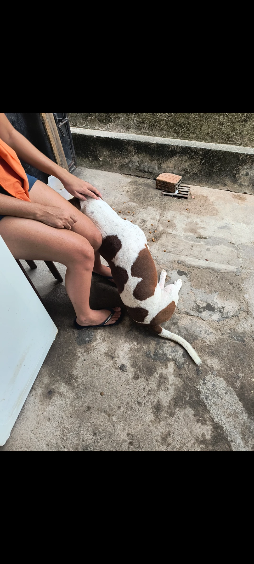 image-10