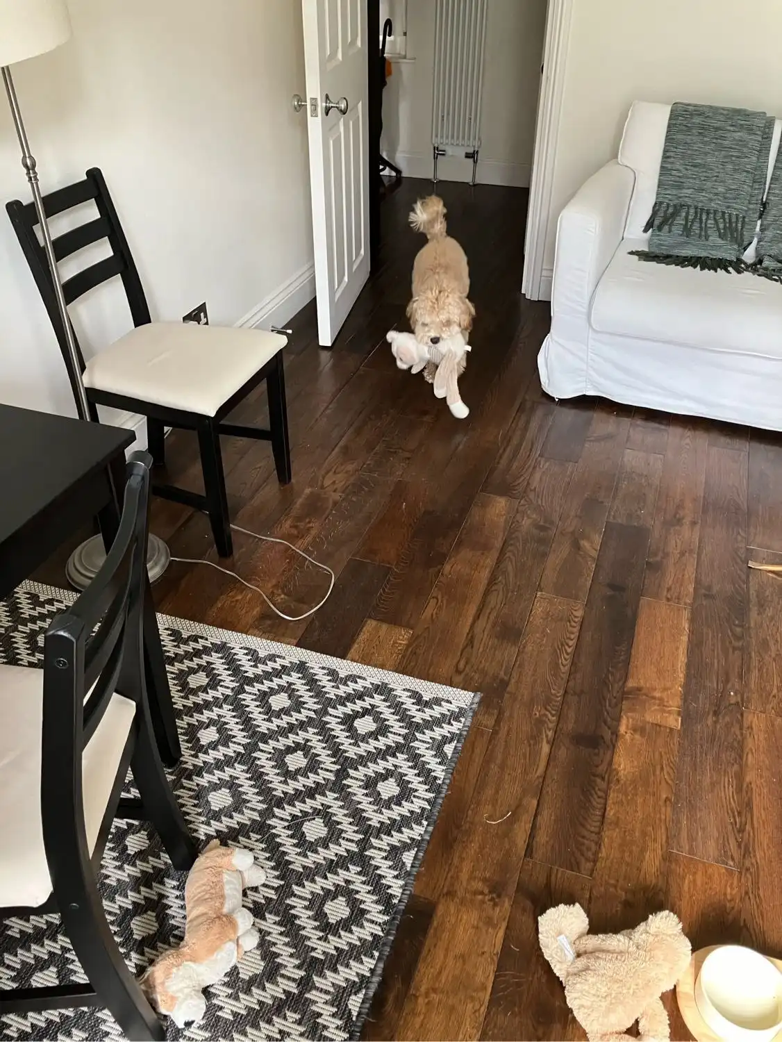 image-11