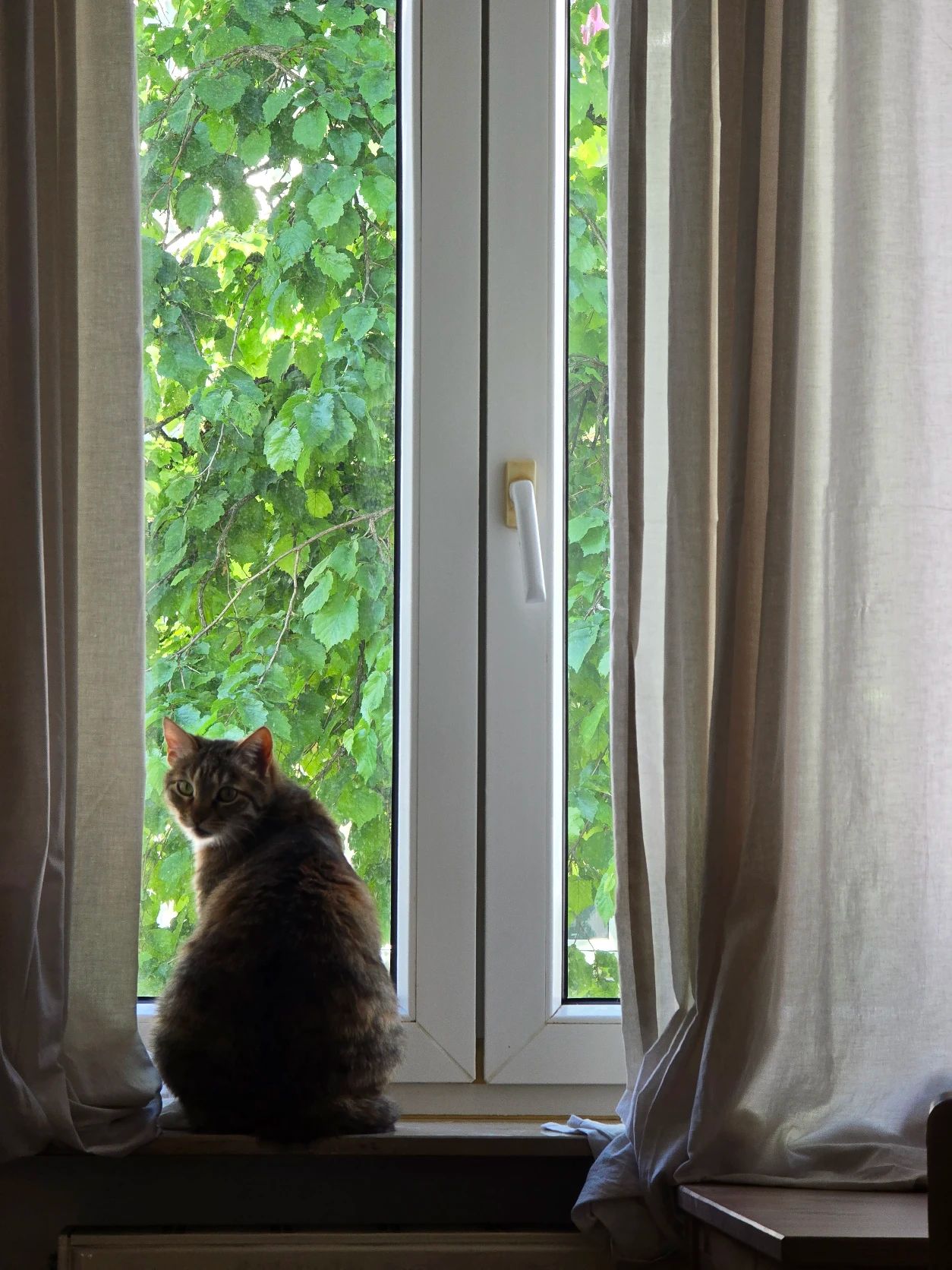 image-8