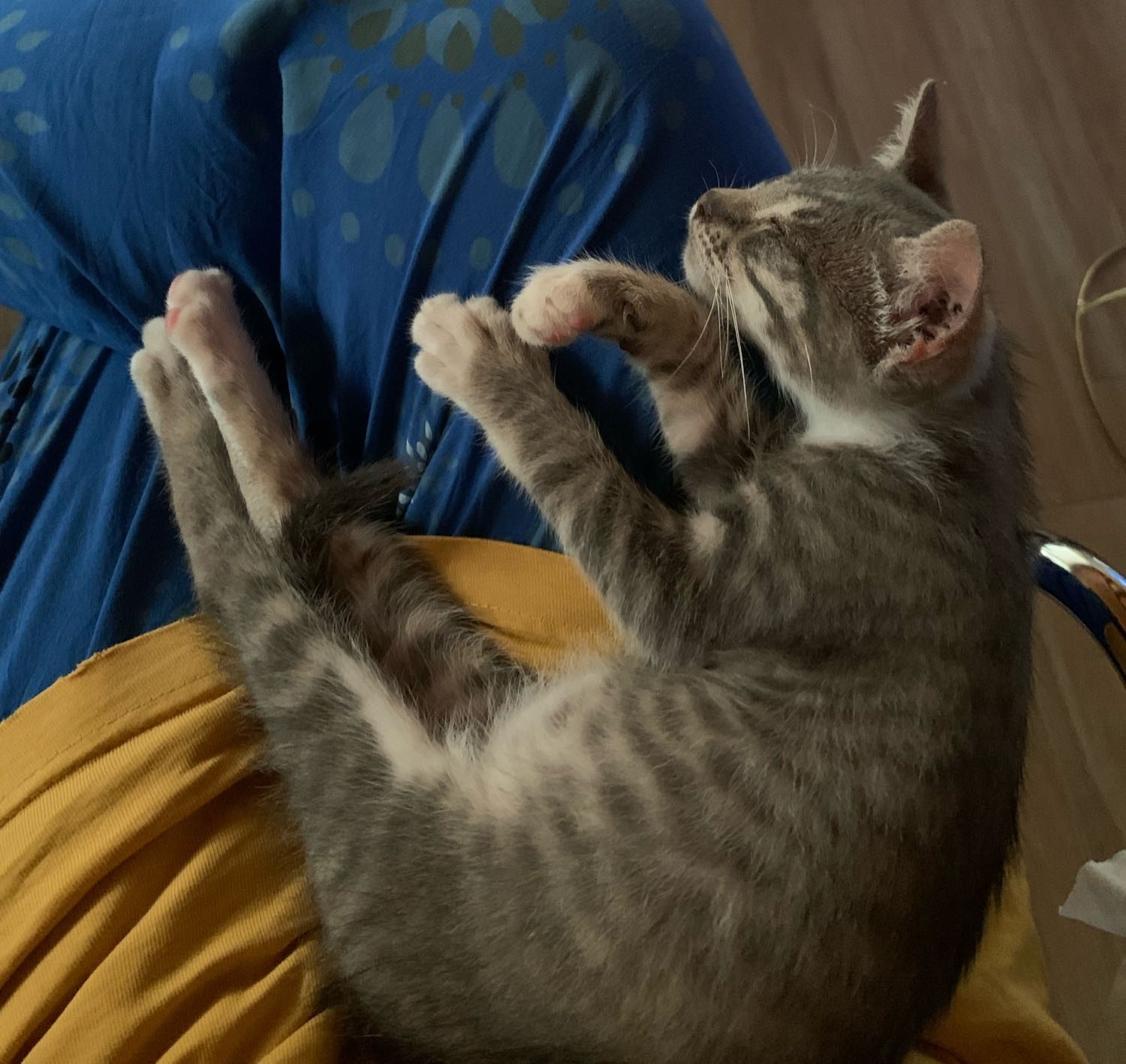 image-9
